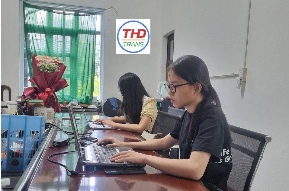 Chuyên gia dịch thuật công chứng Hồ sơ xin việc tại Quận 5 của THDTRANS